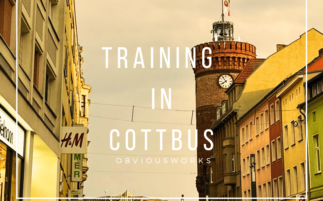 How can Certified Agile Requirements Specialists (CARS) help in clinic and hospital IT?